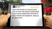 NewRating for Dorsey Services, Inc. by rufus b.         Impressive         Five Star Review by rufus b.