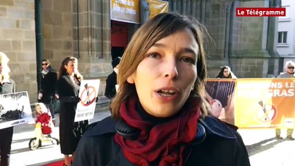 Vannes. Manifestation contre le gavage des canards et des oies