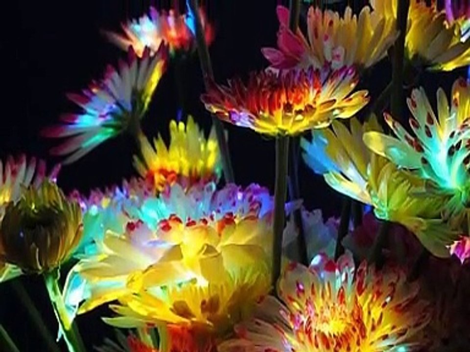 Ballade pour Adeline Richard Clayderman