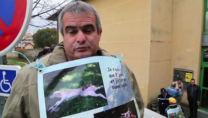 Alpes : le loup hybride s'invite à l'assemblée générale des maires