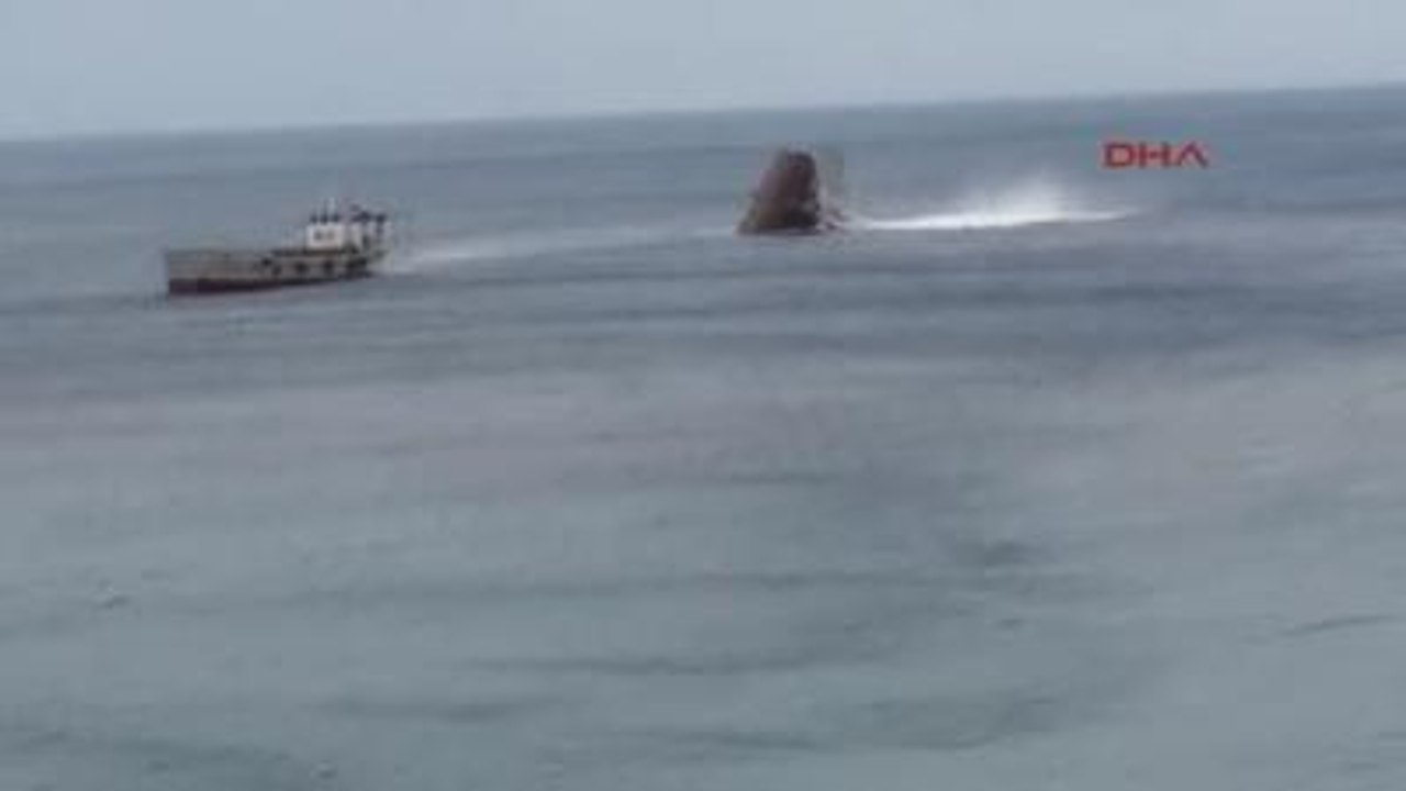 Bodrum Hortum Bodrum'u Teğet Geçti