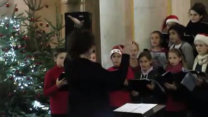 LES NEWS DU VENDREDI DE MICHOU64 W-D.D. - 5 DECEMBRE 2014 - PAU -  INAUGURATION DU VILLAGE MAGIQUE PAR M. FRANCOIS BAYROU.