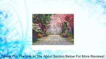 Candamar Designs Savannah Romance by Thomas Kinkade No.51643 Counted Cross Stitch Kit, 14 by 11-Inch Review