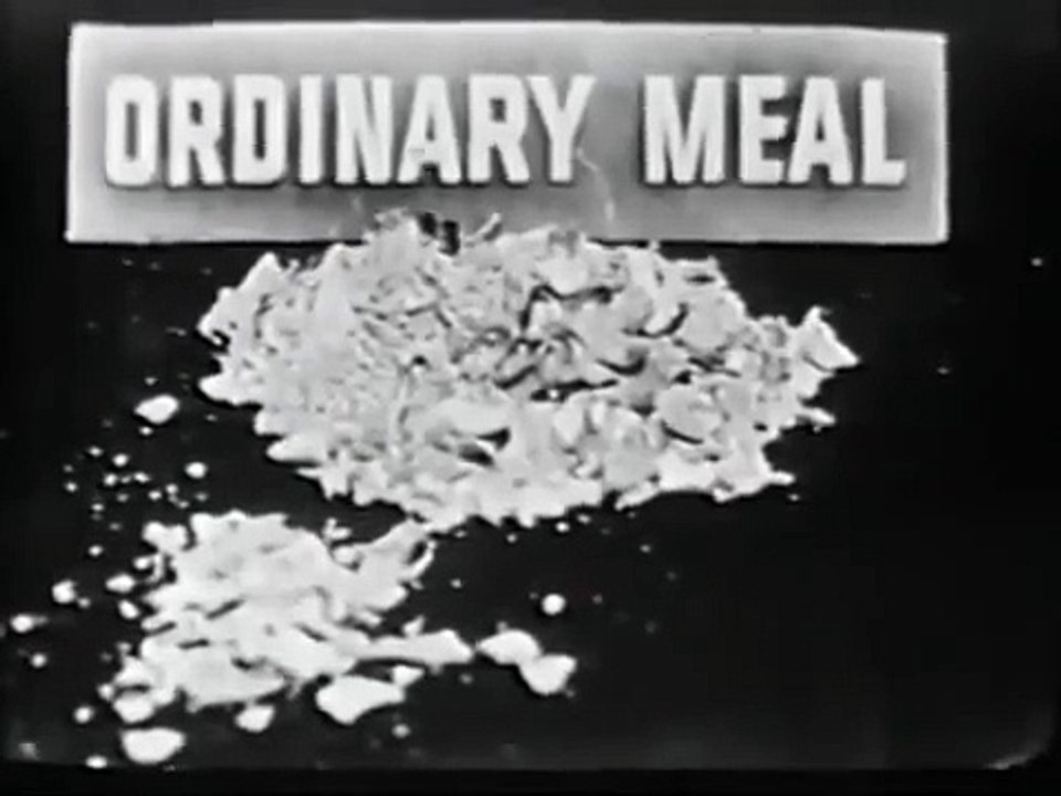 VINTAGE 1953 GAINES DOG FOOD COMMERCIAL ~ 59 YEARS AFTER EATING GAINES MEAL, HE IS IN DOGGY HEAVEN