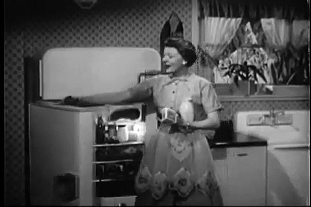 VINTAGE 1954 HARRIET NELSON HOTPOINT COMMERCIAL ~ TALKING ABOUT HOTPOINT REFRIGERATOR