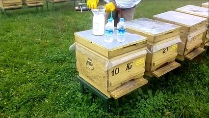 2014 Oksalik asit Buharı ile varroa mücadelesi