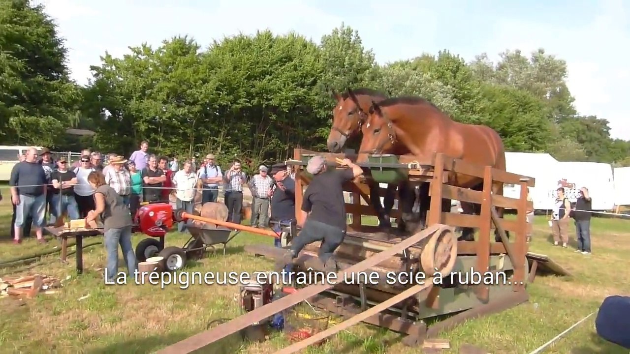 Trépigneuse à 2 chevaux au Pferdestark 2013