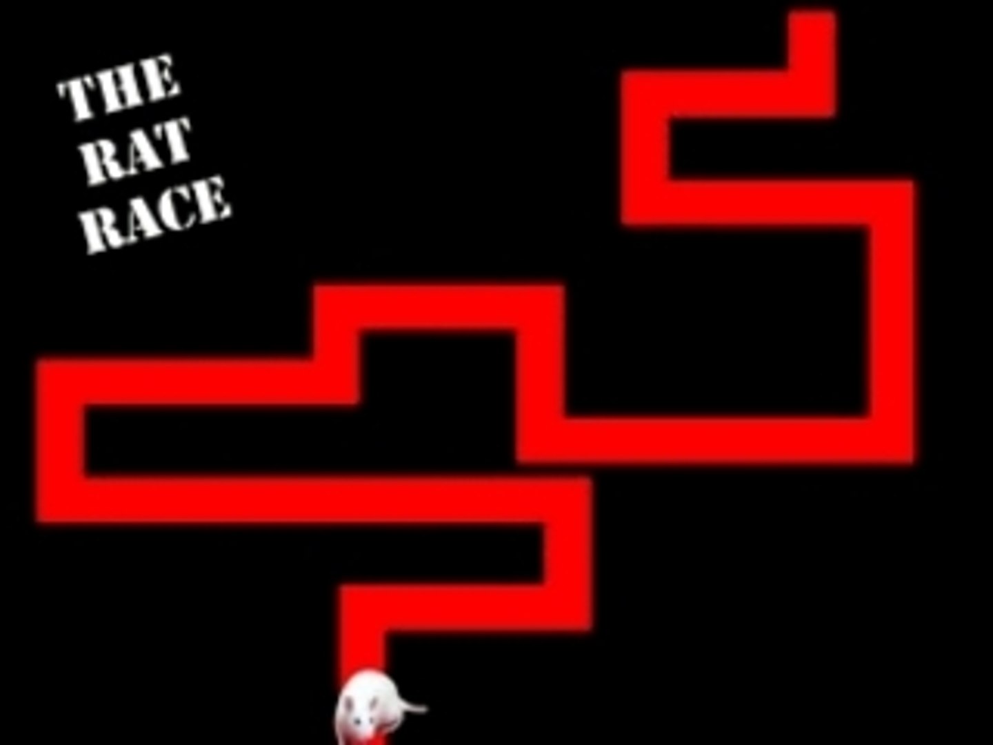 Rat race