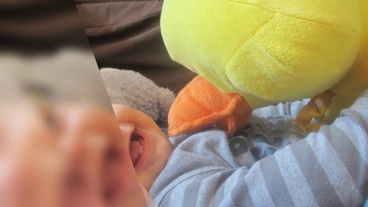 Welcomen to Gent Entertainment Universal Pictures