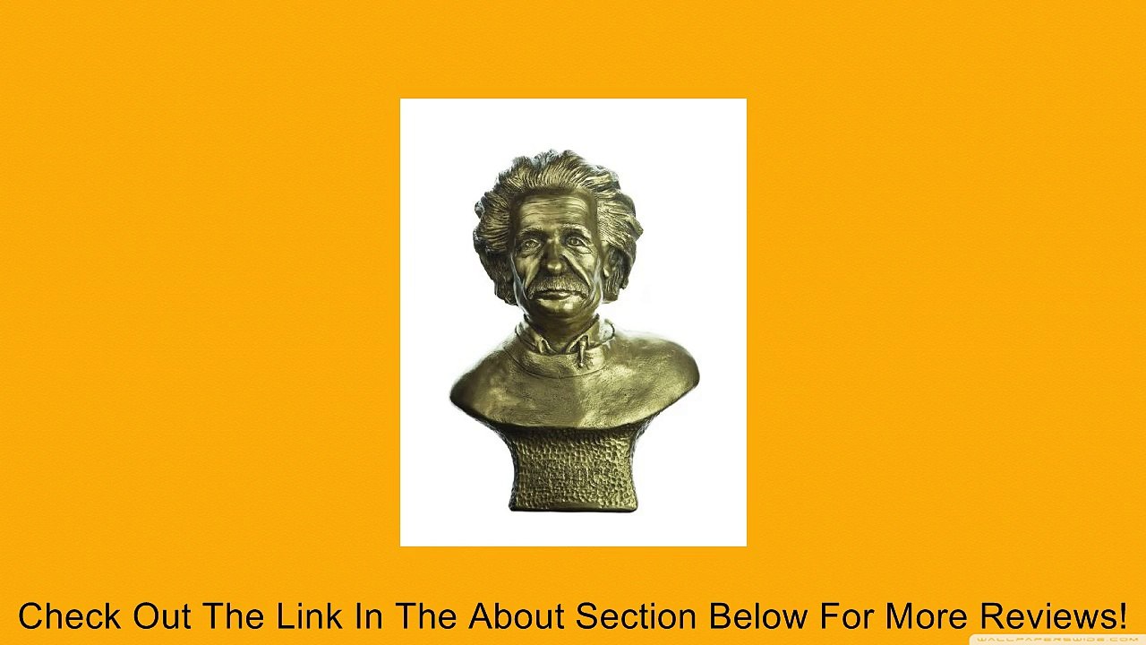 Albert Einstein Bust Review
