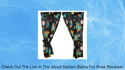 Disney Phineas and Ferb Window Drapes Review