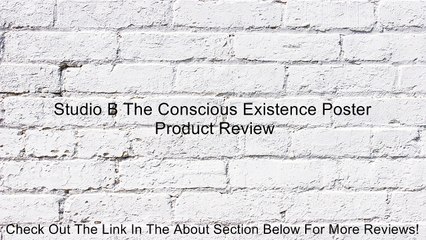 Studio B The Conscious Existence Poster Review