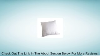 Pillow Form Feather/Down 16