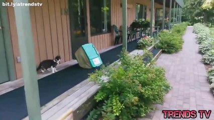 Best Funny Fails Compilation August 2014 Ep.4 - Funny Fail Videos - Funny Pranks - New Funny Video