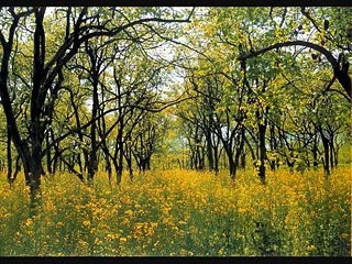 Heart Touching Views of Pakistan