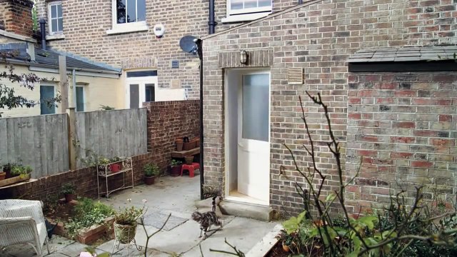 Cats with Thumbs - Funny Commercial