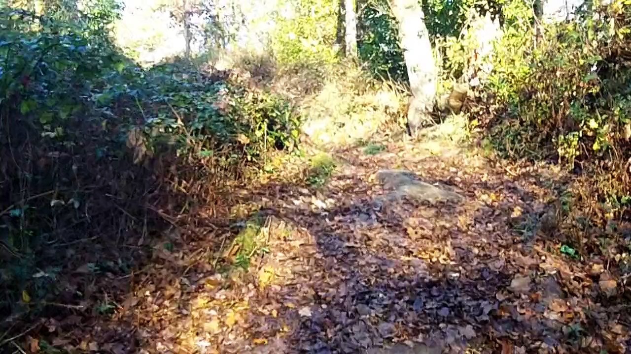 TRAIL MATINAL AU MOULIN DU BOËL  à BRUZ avec MARIO ...