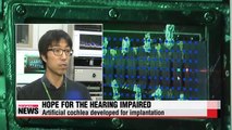 Korean researchers develop artificial cochlea for the deaf