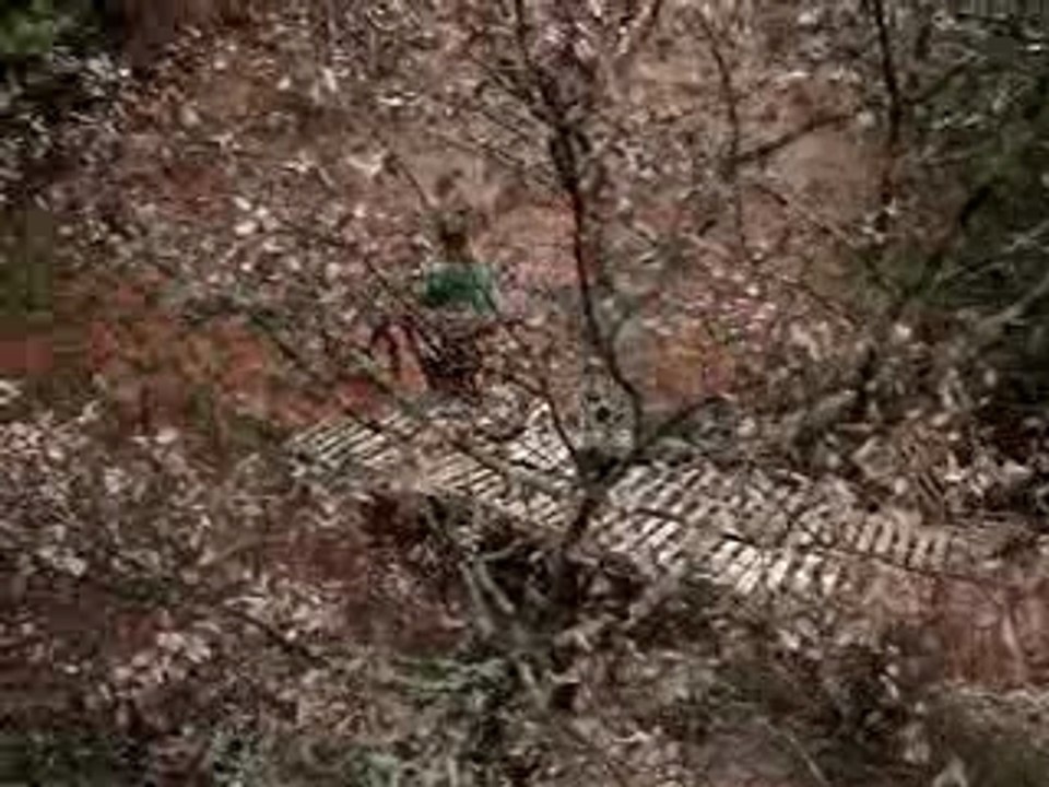 MOV02970