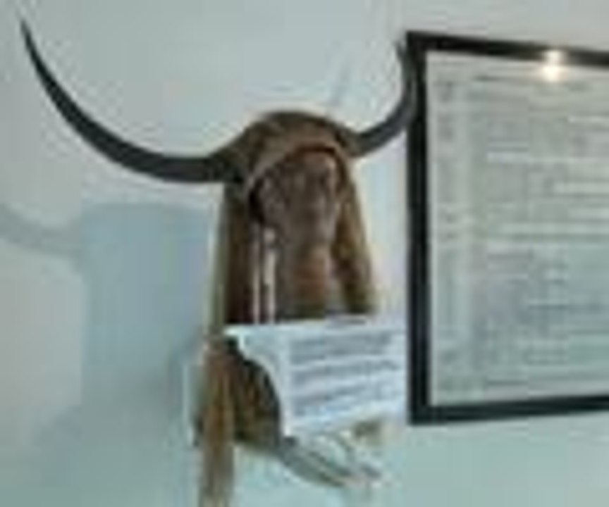 Gambiya'nın doğal "timsah parkı"