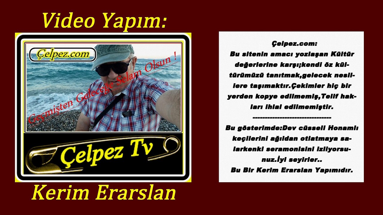 Çelpez.tv Pala Dayı Dev Cüsseli Honamlı Keçileri Otlamaya Salıyor.Antalya