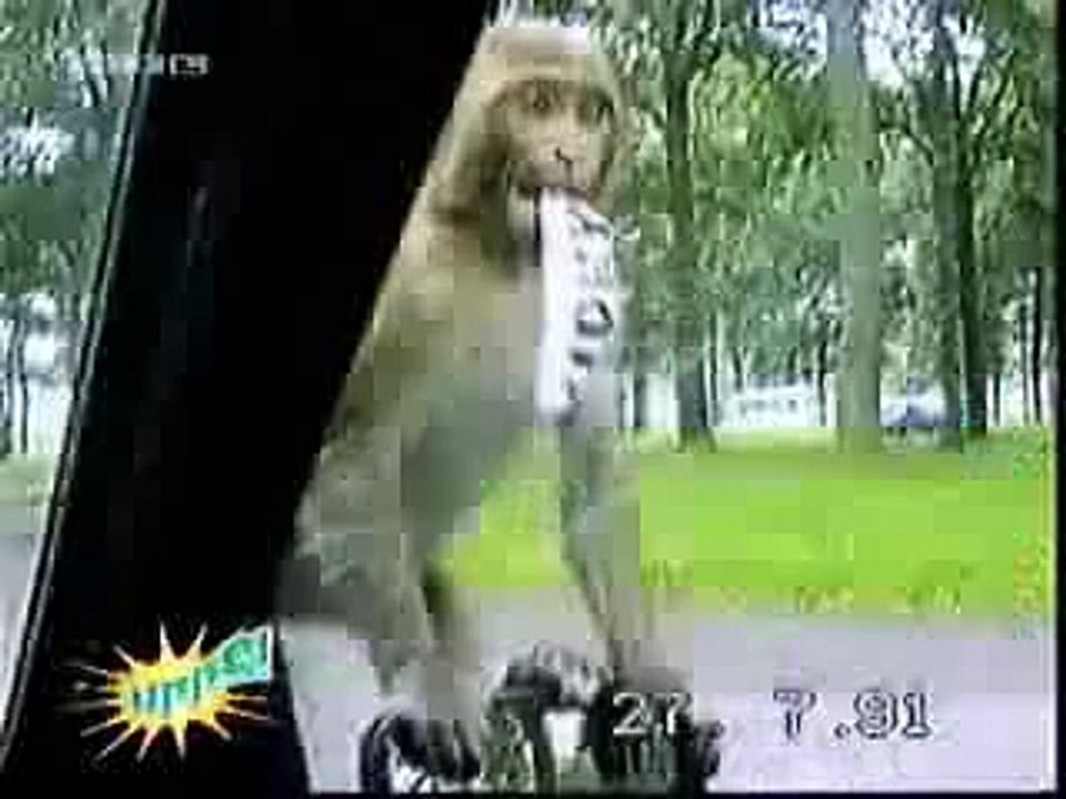 funny video