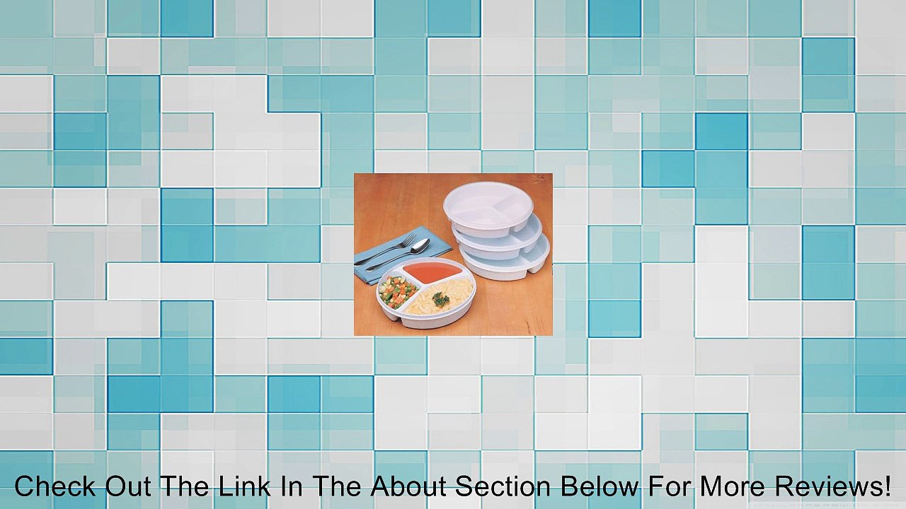 3-Compartment Scoop Dish Review