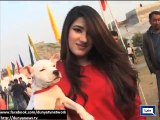 Dunya News - Lahore: Kennel Club of Pakistan organises Dog show