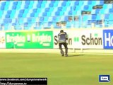 Dunya News - Pakistan vs New Zealand ODI series to start in Dubai
