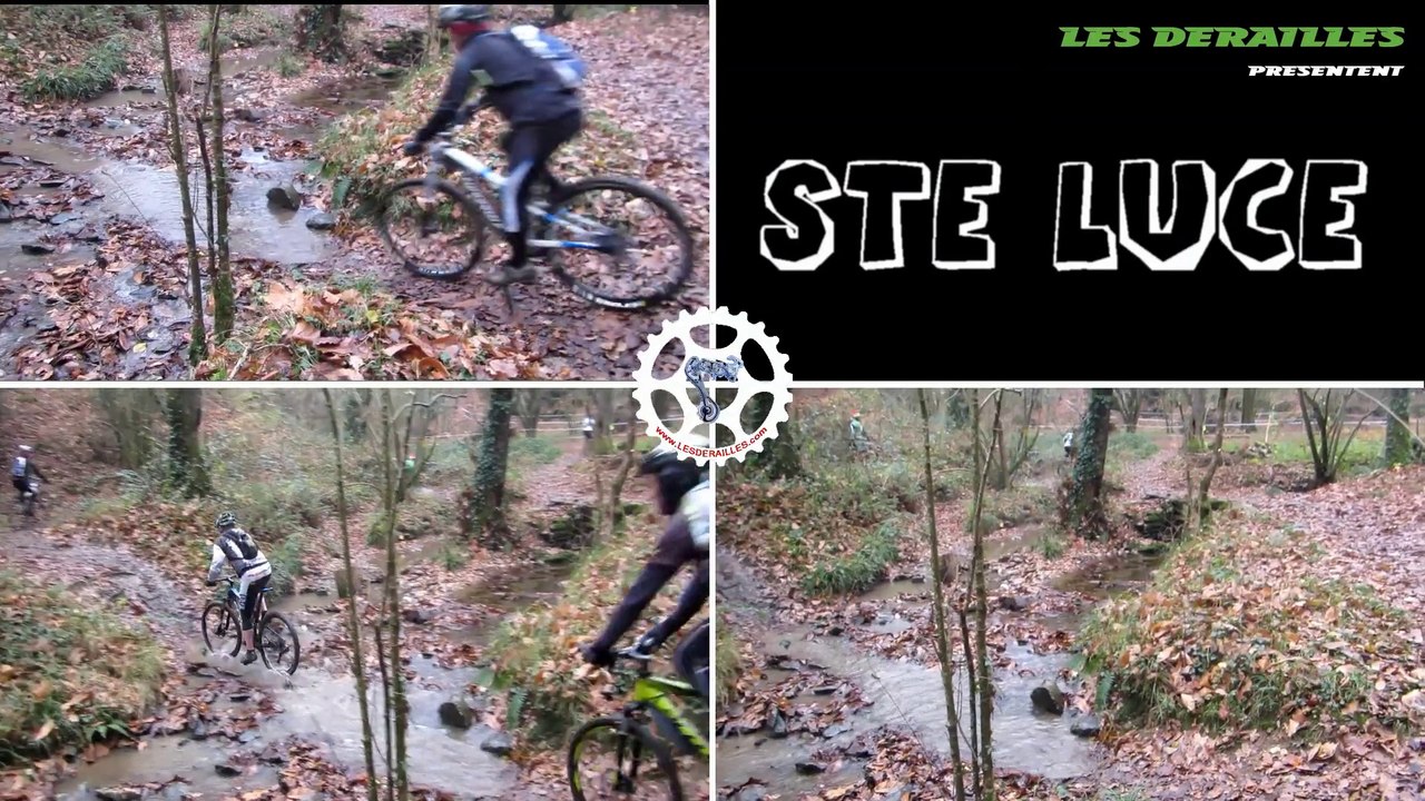 STE LUCE SUR LOIRE - 2014