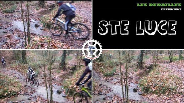 STE LUCE SUR LOIRE - 2014