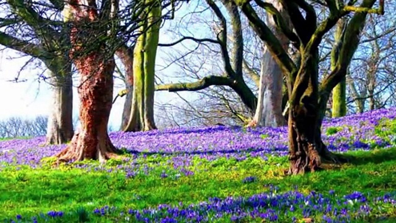 Musa Eroglu-Yare Söyleme