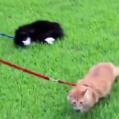 Sabah işe giderken kendini böyle hisseden kaç kişi var