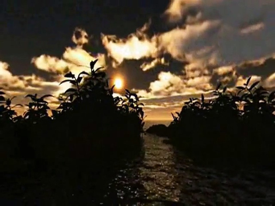 KYA KEH GAYEE KISI KI NAZAR KUCHH NA PUCHHIYE - (Habib Wali Mohammad)