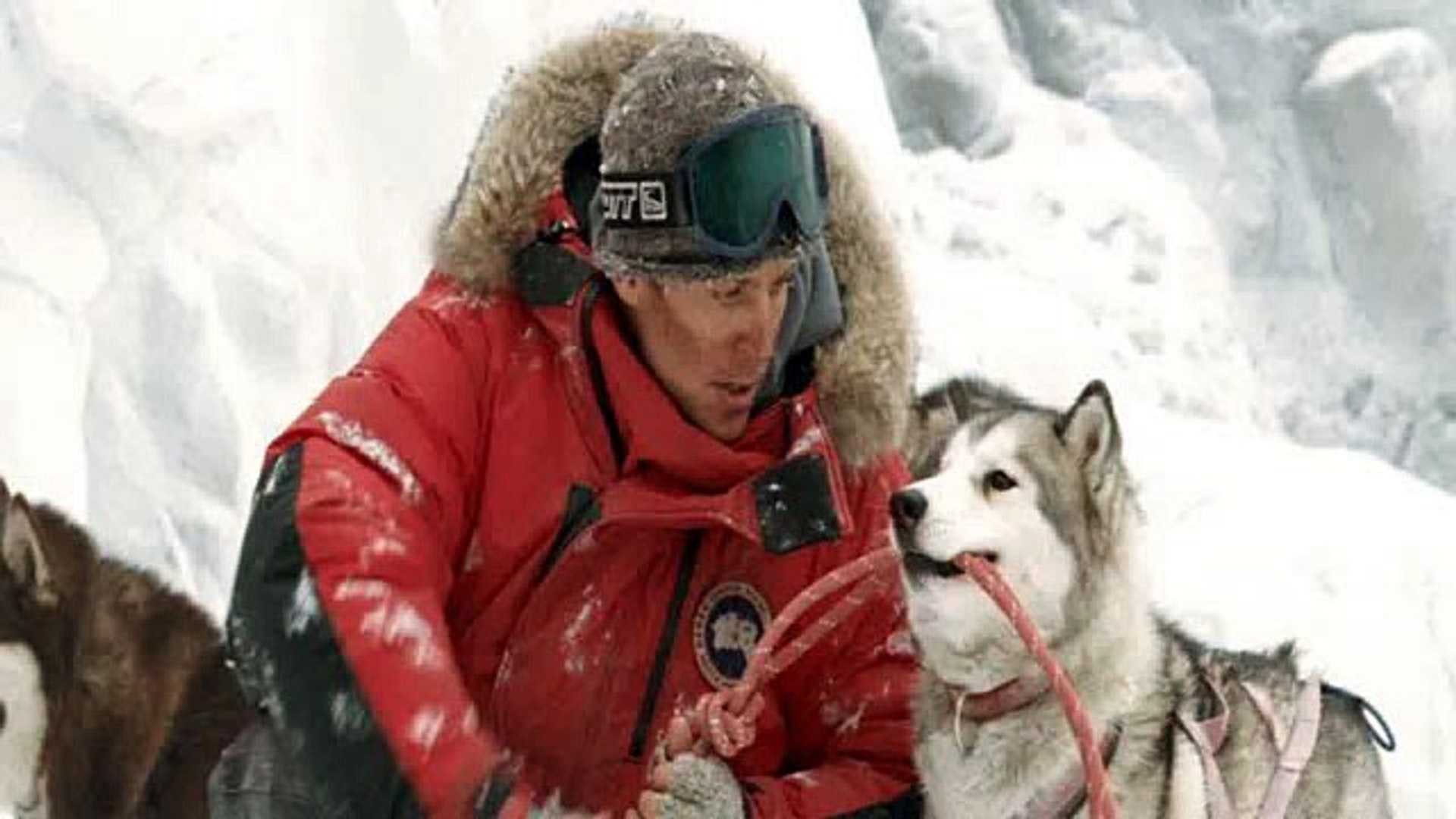 Eight Below Full Movie Hd 1080p Video Dailymotion