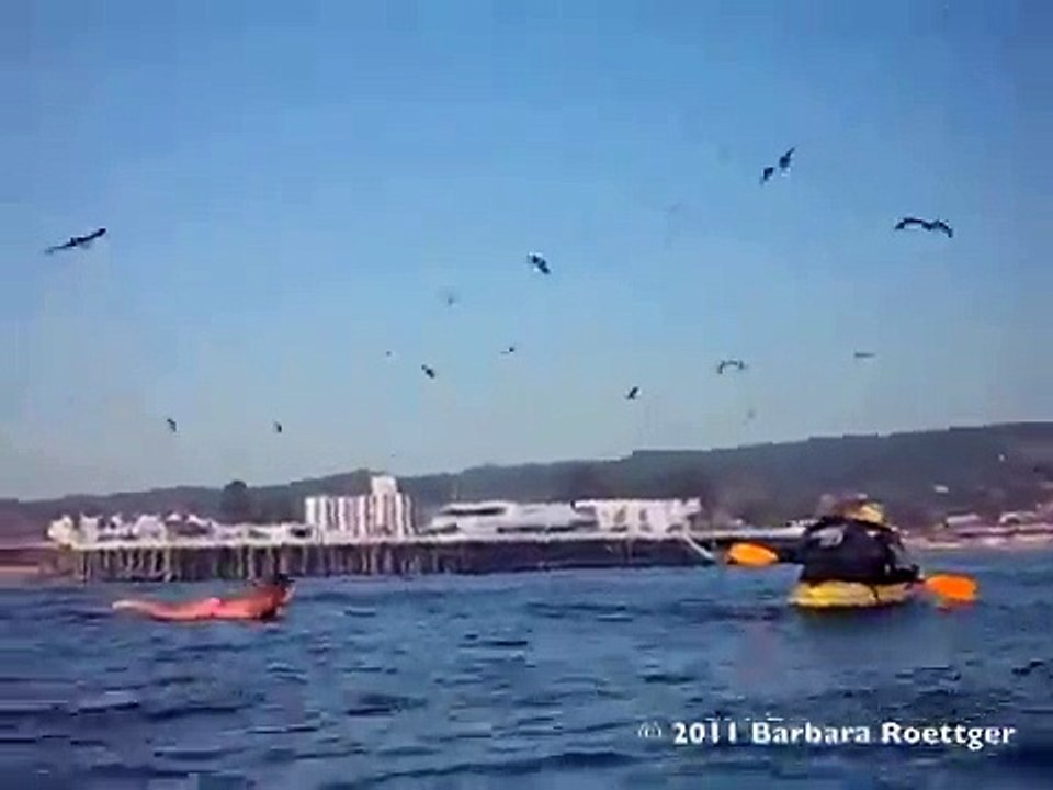 yaşamla ölüm arasında ince çizgi