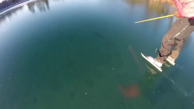 So amazing Frozen lake : so clear and limpid ice that you can see fish