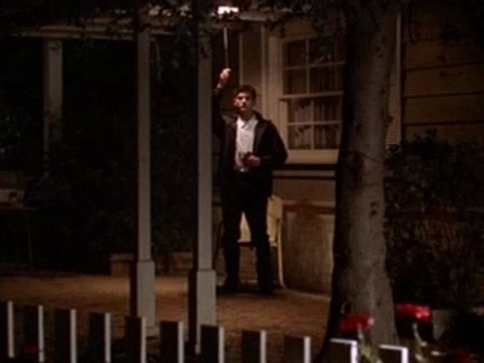 American Beauty