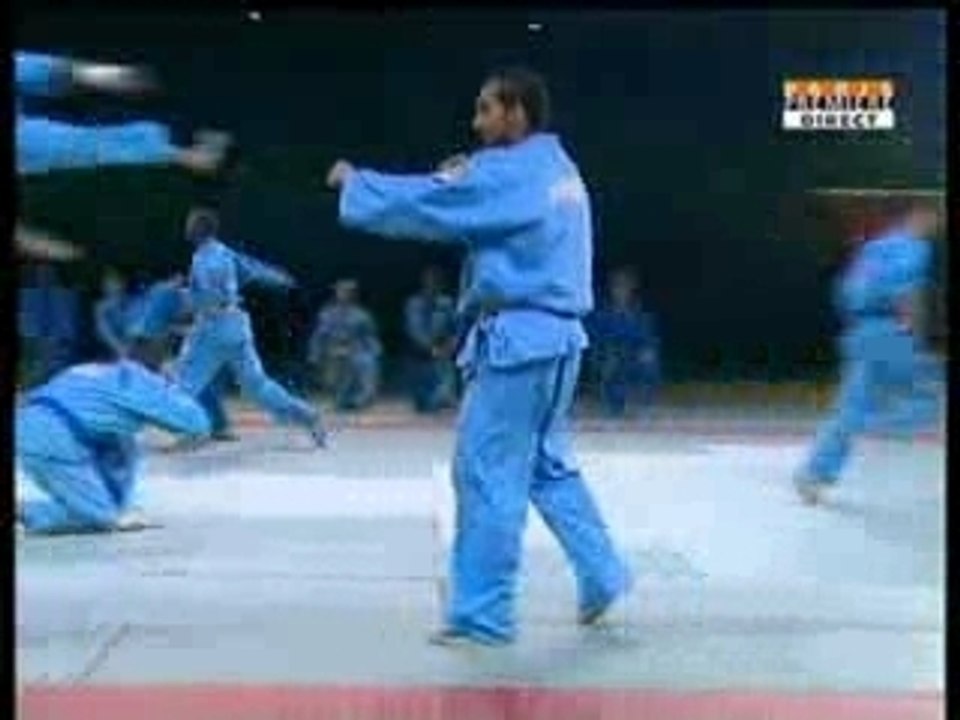 Vovinam Bercy 2005