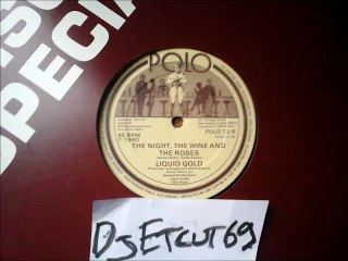 LIQUID GOLD -THE NIGHT THE WINE AND THE ROSES(RIP ETCUT)POLO REC 80 (DISCOTIN)