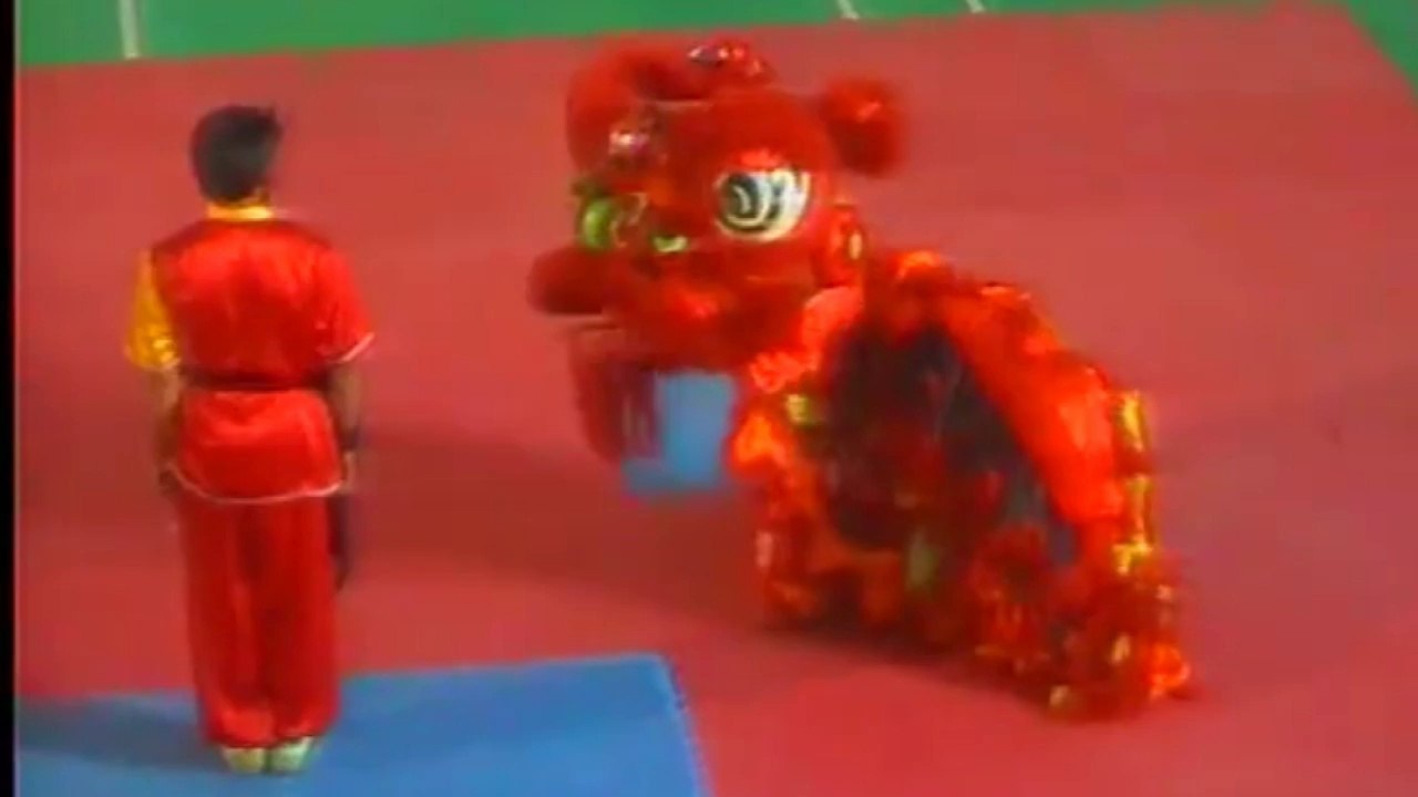 Pakistan Martial Arts Show 2014