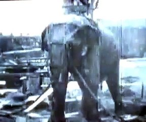 Electrocuting an Elephant