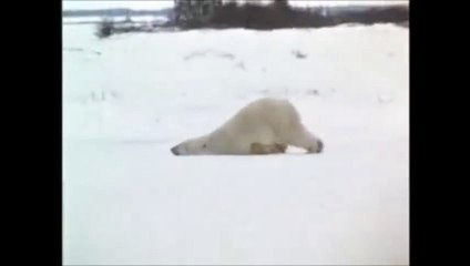 Pazartesi sabahları ben