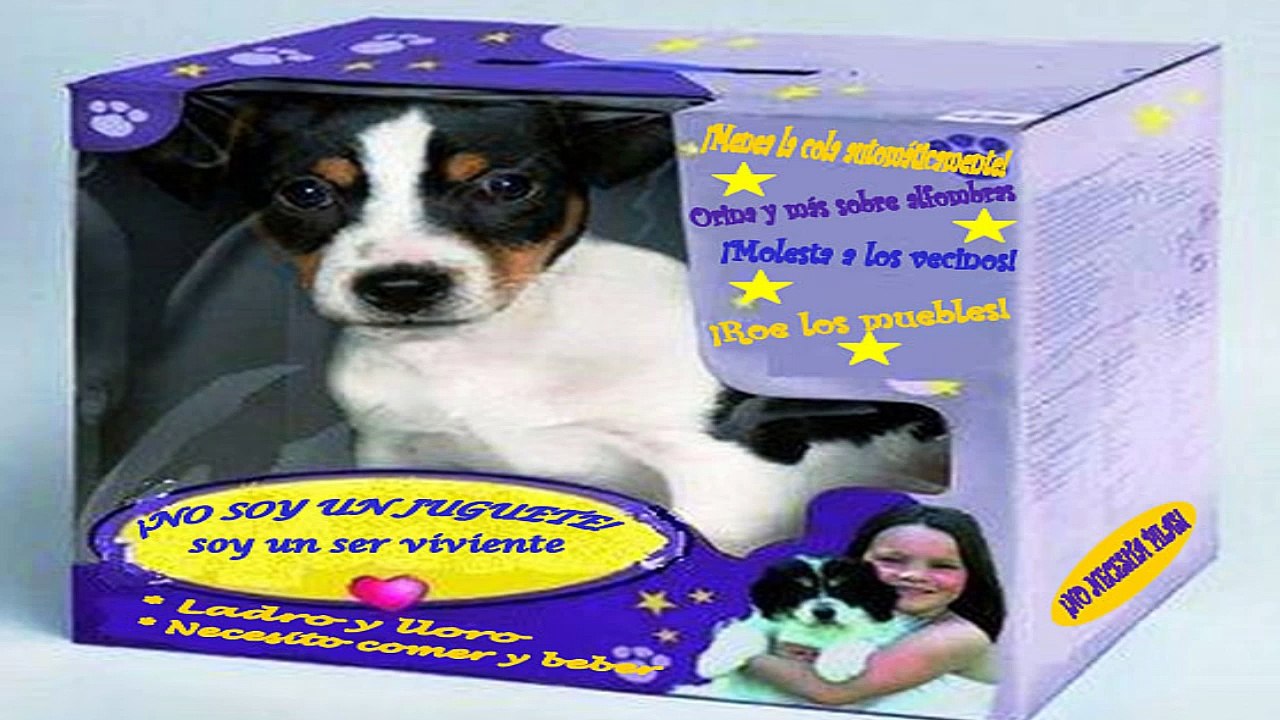 50. EL PERRO NO ES UN JUGUETE. ENRIQUE Y ROCIO | PAA