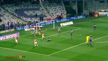 Le but magnifique de Dimitar Berbatov à Toulouse / Brilliant goal, what a stroke of genius !!