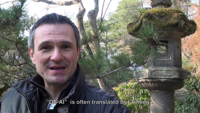 The Aikido Notebooks with Michel Erb Sensei Part 10 DE-AI