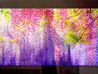 Paani Diyan Chhallan