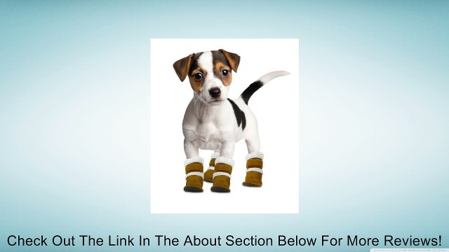 Hugs Pet Products Pugz Dog Shoes Review