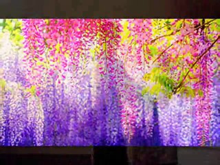 Paani Diyan Chhallan Edit By Usman