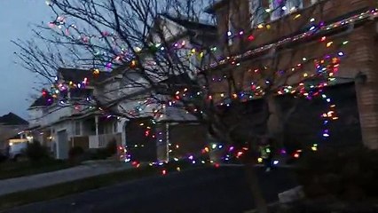 1 Over 1 Million Christmas Lights 🎄